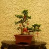 硅藻泥裝飾壁材 內(nèi)墻裝飾壁材