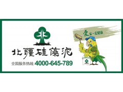 硅藻泥圖1