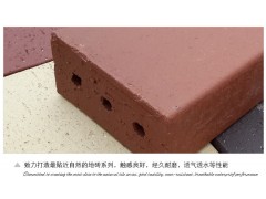 【漢撒雅鉑】廠家直銷 佛山多孔窯變燒結(jié)磚 真空機壓燒結(jié)粘土磚圖2