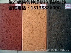 供應(yīng)河南頁巖燒結(jié)磚陶土式燒結(jié)磚空心燒結(jié)磚建菱磚透水磚圖1