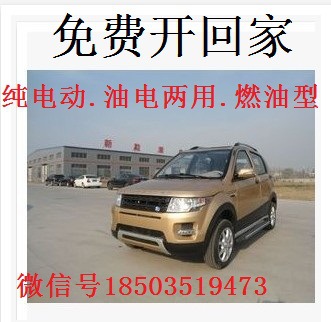 新能源電動汽車全封閉四輪轎車老年人代步車電動觀光車路虎款鐵殼
