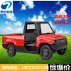 新款大陽皮卡四輪電動(dòng)車 鐵殼小貨車 新能源代步車 微型
