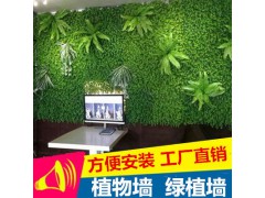 仿真草坪綠植墻仿真植物墻裝飾塑料人工草皮尤加利綠色假植物批發(fā)圖1
