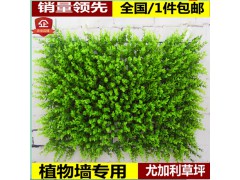 仿真草坪綠植墻仿真植物墻裝飾塑料人工草皮尤加利綠色假植物批發(fā)圖2