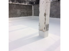 深圳廠家直銷瑞福聯(lián)合牌混凝土防水材料 背水面雙組分防水涂料圖2