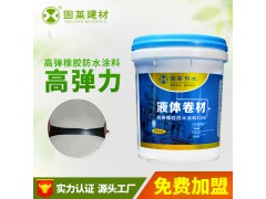 湖南廠家防水性非固化高彈橡膠防水涂料 屋頂防水補(bǔ)漏液體卷材涂圖1