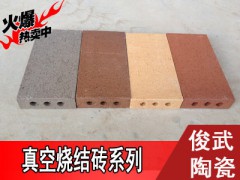 【精品】俊武新品真空燒結(jié)磚，專用地磚 ，耐磨透水。多色可選圖2