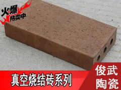 【精品】俊武新品真空燒結(jié)磚，專用地磚 ，耐磨透水。多色可選圖3