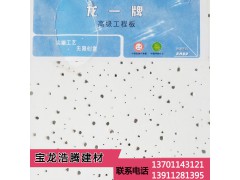 龍一牌工程礦棉板 防火吸音天花板 批發(fā)綠色環(huán)保型礦棉板建材圖1