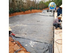 廠家直銷覆膜膨潤土防水毯 鈉基膨潤土防水毯出售 防水墊圖1