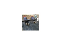 廠家直銷覆膜膨潤土防水毯 鈉基膨潤土防水毯出售 防水墊圖2