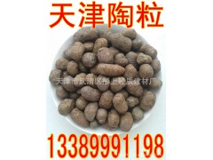 天津陶粒頁巖陶粒300-1000級(jí) 粘土陶粒13389991198 陶粒濾料浮石圖1