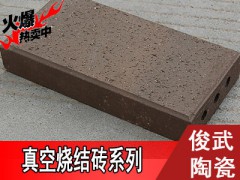燒結(jié)磚廠家直銷 宜興俊武陶瓷 高品質(zhì)直銷廠家圖2