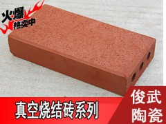 燒結(jié)磚廠家直銷 宜興俊武陶瓷 高品質(zhì)直銷廠家圖3