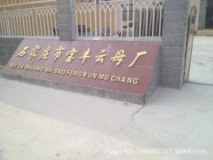 低價(jià)出售滑石粉 高品質(zhì) 高滑度滑石粉圖1