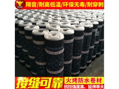 廠家直銷3mmsbs改性瀝青防水卷材屋面屋頂防水堵漏材料價(jià)格優(yōu)惠圖1