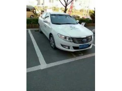 尼桑 新能源汽車(chē) 新能源產(chǎn)品圖1