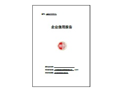 單次 企業(yè)信用報告