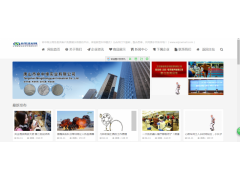 這樣的網(wǎng)站你值得擁有，專業(yè)網(wǎng)站制作，維護(hù)，優(yōu)化.