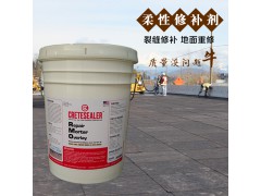 工業(yè)污水處理池耐酸堿防腐涂料RMO圖1