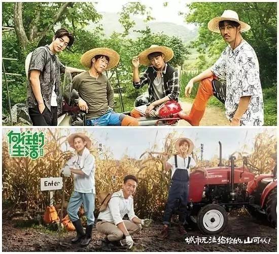 芒果、番茄、荔枝臺，韓媒說，他們的政府要治你們&ldquo;抄襲&rdquo;了！