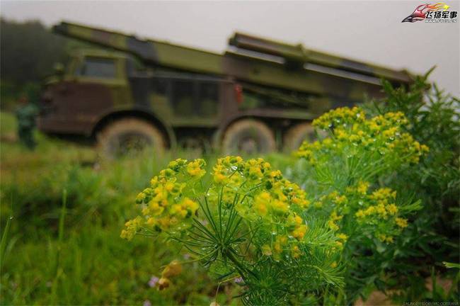 塞爾維亞陸軍炮兵實(shí)彈射擊演習(xí) 火箭炮造型大亮！