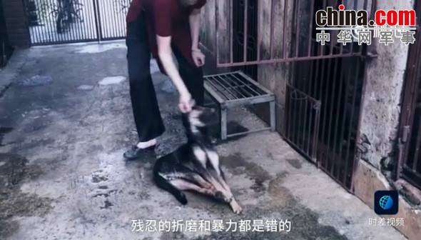 玉林救狗的“美國(guó)英雄”竟是騙子:錢拿了 狗扔了
