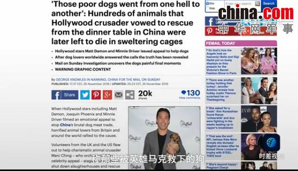 玉林救狗的“美國(guó)英雄”竟是騙子:錢拿了 狗扔了