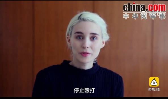 玉林救狗的“美國(guó)英雄”竟是騙子:錢拿了 狗扔了