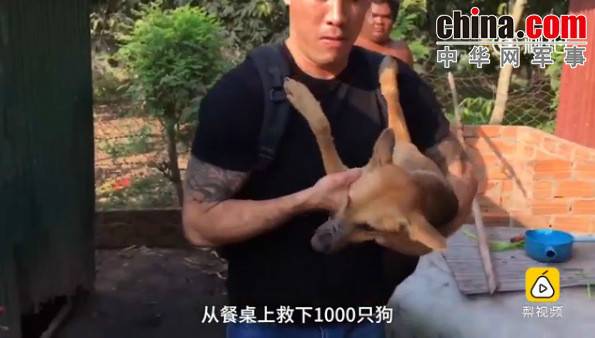 玉林救狗的“美國(guó)英雄”竟是騙子:錢拿了 狗扔了