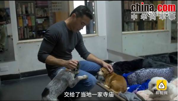 玉林救狗的“美國(guó)英雄”竟是騙子:錢拿了 狗扔了