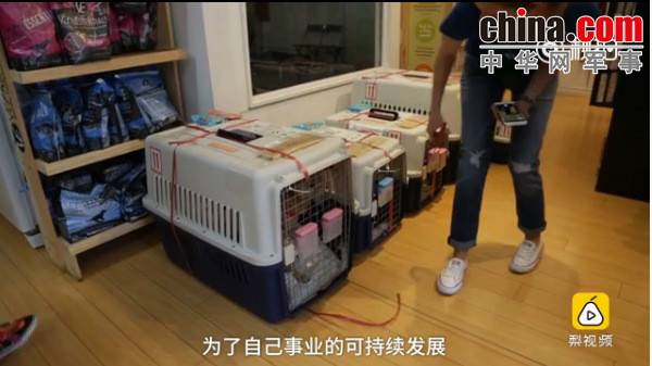 玉林救狗的“美國(guó)英雄”竟是騙子:錢拿了 狗扔了