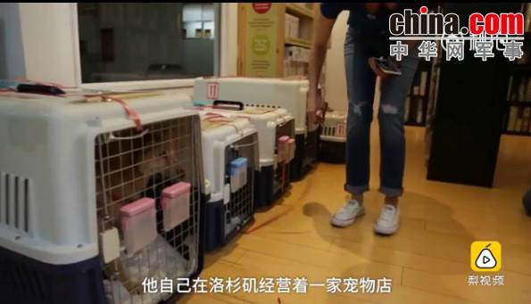 玉林救狗的“美國(guó)英雄”竟是騙子:錢拿了 狗扔了