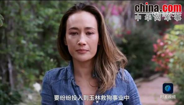 玉林救狗的“美國(guó)英雄”竟是騙子:錢拿了 狗扔了