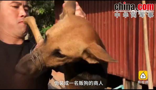 玉林救狗的“美國(guó)英雄”竟是騙子:錢拿了 狗扔了