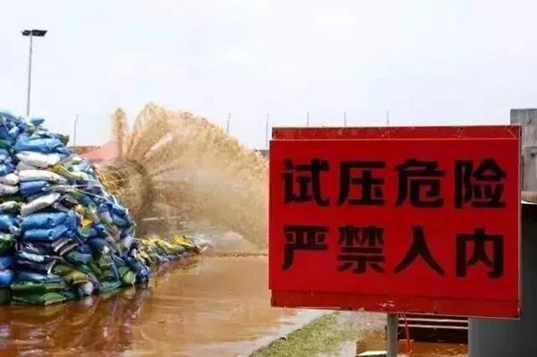 南海現(xiàn)&ldquo;蛟龍&rdquo;！亞洲最大管徑海底輸油管線投用
