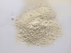 廠家直銷 優(yōu)質(zhì)超細(xì) 特級硅酸鋯圖1