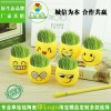長(zhǎng)草娃娃炫酷表情 負(fù)離子盆栽 擺件禮品玩