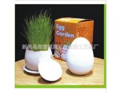 魔蛋 魔豆 創(chuàng)意禮品 園藝花卉 創(chuàng)意種植辦公室盆栽圖2