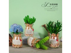 玻璃小盆栽瓶植物假花仿真花客廳辦公室桌面擺件圖1