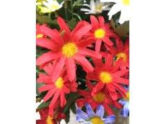 小雛菊手工絹花裝飾客廳插花圖3