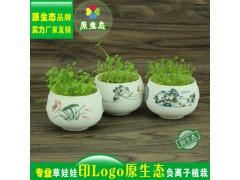 長(zhǎng)草頭娃娃 微景觀 雪花釉白瓷夏荷 桌面迷你盆栽圖1