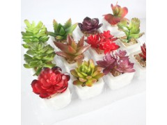 迷你仿真多肉植物盆景 仿真花創(chuàng)意擺件圖1
