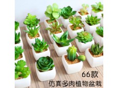 迷你仿真多肉植物盆景 仿真花創(chuàng)意擺件圖3