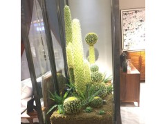 仿真仙人掌 室內(nèi)軟裝植物盆栽仙人柱 假仙人球多肉植物小樹盆景圖1