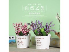 歐式做舊瓷杯綠植小盆栽仿真花植物盆景家居客廳店鋪?zhàn)烂嫜b飾擺件圖1
