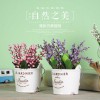 歐式做舊瓷杯綠植小盆栽仿真花植物盆景家居客廳店鋪?zhàn)烂嫜b飾擺件