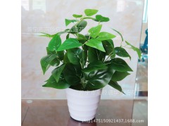 仿真植物盆景小綠植盆栽創(chuàng)意擺件塑料辦公室假綠蘿仿真雞心葉套裝圖1