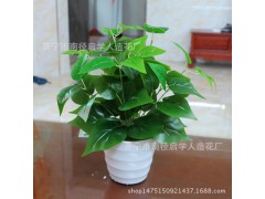 仿真植物盆景小綠植盆栽創(chuàng)意擺件塑料辦公室假綠蘿仿真雞心葉套裝圖2