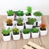 迷你仿真植物多肉植物盆栽小擺件